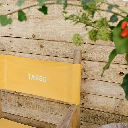 Tasso * Firenze