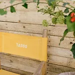 Tasso